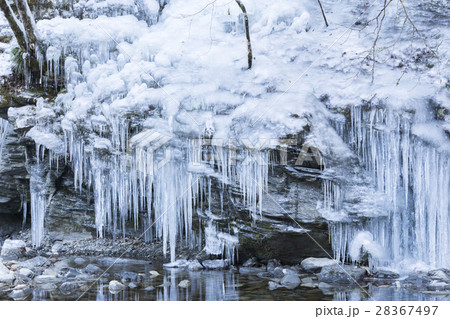 三十槌の氷柱 秩父 三十槌の氷柱 秩父 28367497