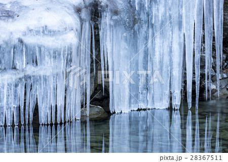 三十槌の氷柱 秩父 三十槌の氷柱 秩父 28367511