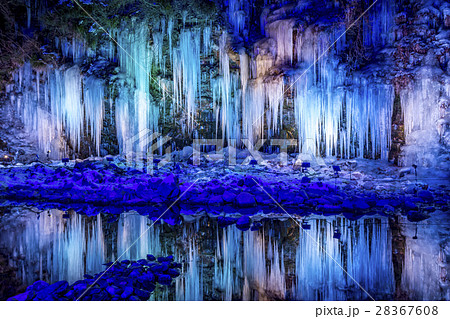三十槌の氷柱　ライトアップ　秩父 28367608