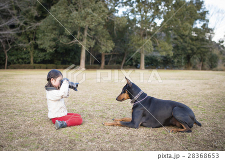 ドーベルマンの写真を撮る女の子 28368653
