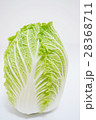 白菜 28368711