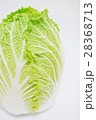 白菜 28368713