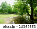 公園　新緑 28369353