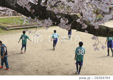 イメージ素材　桜の下でサッカーをする子供たち 28369764