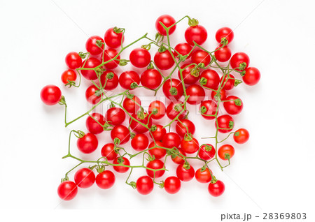 マイクロトマト マイクロトマト 28369803