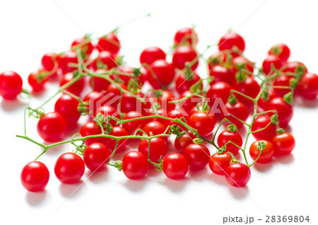 マイクロトマト マイクロトマト 28369804