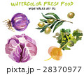 Watercolor vegetables isolated on white 28370977
