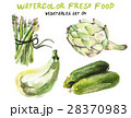 Watercolor vegetables isolated on white 28370983