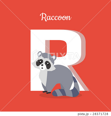 Raccoon with Letter R Isolated. ABC, Alphabet. 28371728