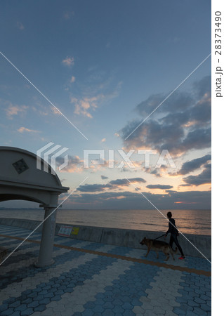 宮城海岸 砂辺 沖縄 宮城海岸 砂辺 沖縄 28373490
