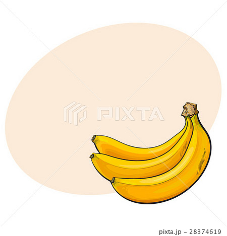 Bunch of three unopened, unpeeled ripe bananas Bunch of three unopened, unpeeled ripe bananas 28374619