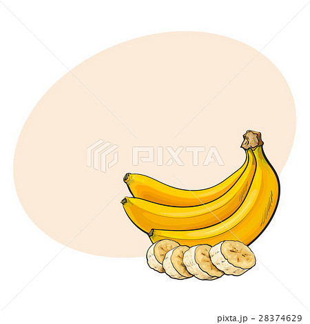 Ripe banana bunch and slices, sketch vector 28374629