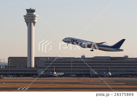 ハミングバードディパーチャー 28375869