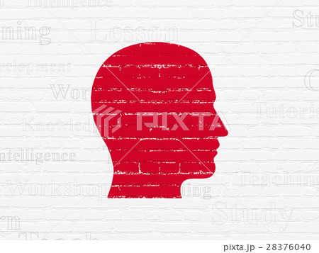 Education concept: Head on wall background 28376040