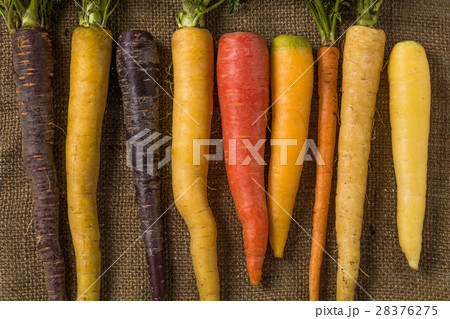 カラフルにんじん Colorful carrot カラフルにんじん Colorful carrot 28376275