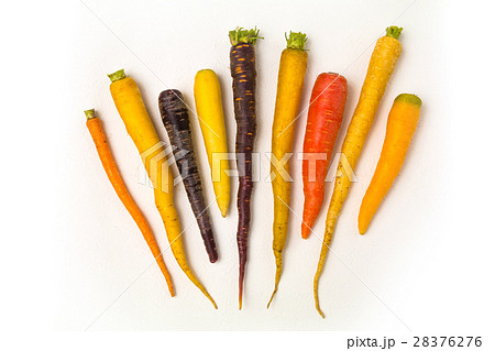 カラフルにんじん Colorful carrot カラフルにんじん Colorful carrot 28376276