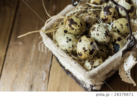 Quail eggs in metal basket selective focus closeup Quail eggs in metal basket selective focus closeup 28376671