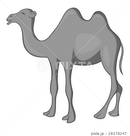 Camel icon, gray monochrome style 28378247