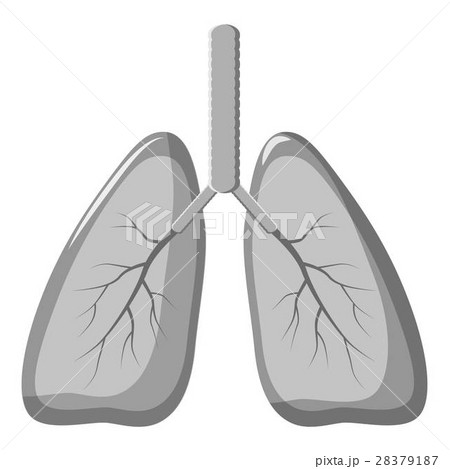 Human lungs icon, gray monochrome style 28379187