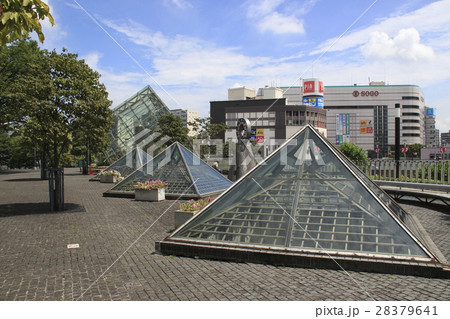 川口西公園にて 28379641