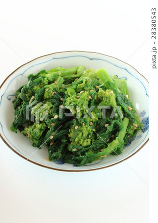 菜の花の辛し和え 28380543