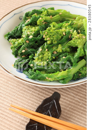 菜の花の辛し和え 菜の花の辛し和え 28380545
