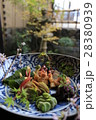 京料理０１ 28380939