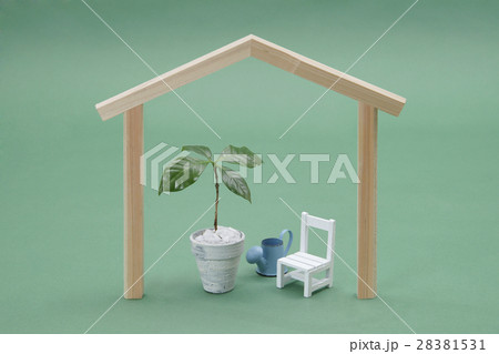 木と家のイメージ 木と家のイメージ 28381531