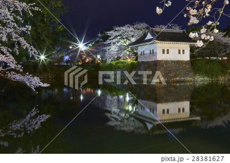 小田原城　夜桜　小田原市 28381627