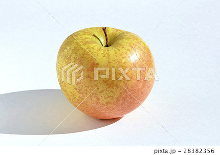 リンゴ（サン金星） 28382356