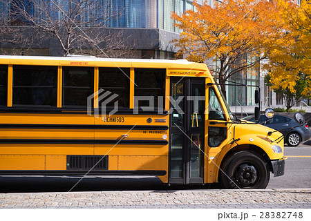 yellow school bus yellow school bus 28382748