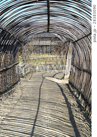 佐布里梅林 佐布里梅林 28383090