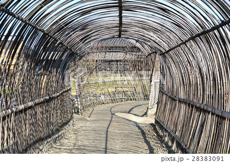 佐布里梅林 佐布里梅林 28383091