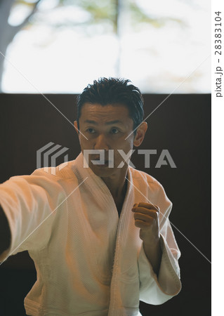 martial artist 28383104