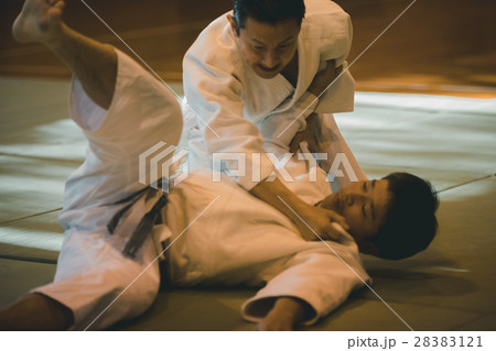 martial artist martial artist 28383121