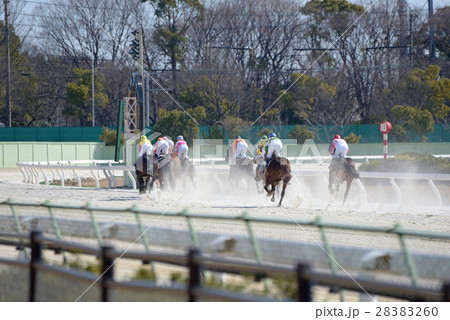 競馬 第一コーナー 競馬 第一コーナー 28383260