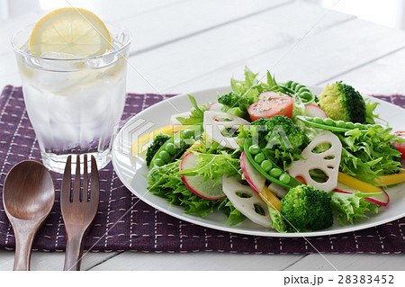 サラダ 28383452