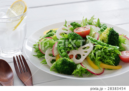 サラダ サラダ 28383454