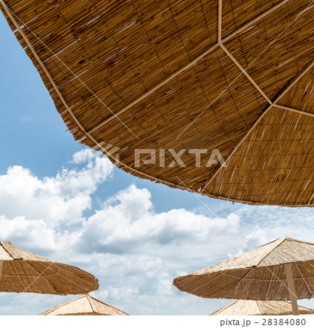 Beach umbrella on sunny day Beach umbrella on sunny day 28384080