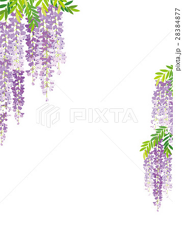 ふじのイラスト 28384877