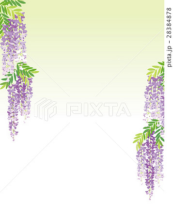 ふじのイラスト 28384878