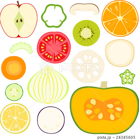 野菜と果物の断面のイラスト素材