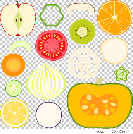 蔬菜和水果的橫截面 28385605