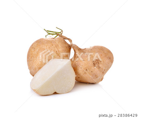 Jicama isolated on white background 28386429