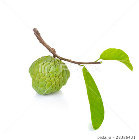 Sugar Apple fruit on white  background 28386431