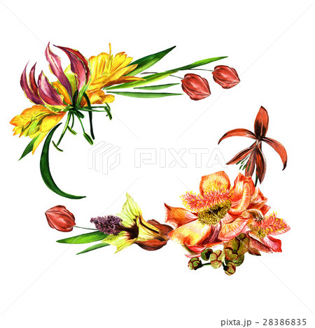 Tropical Hawaii leaves and flowers frame in a 28386835