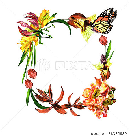 Tropical Hawaii leaves and flowers frame in a 28386889