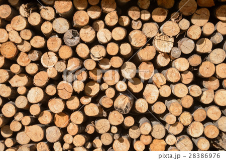 Arranged Firewood stack 28386976