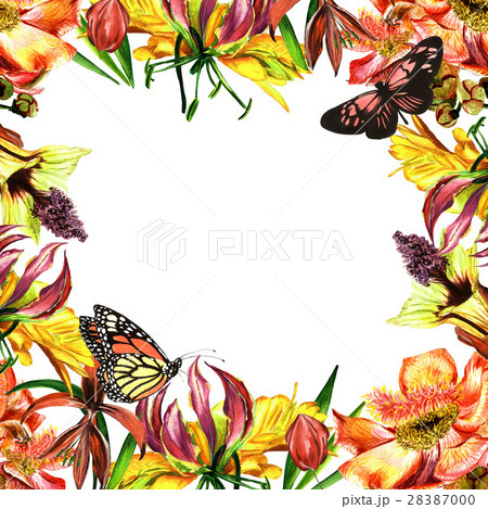 Tropical Hawaii leaves and flowers frame in a 28387000