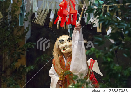夜神楽 夜神楽 28387088